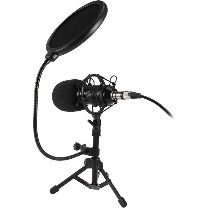 Capuchon Microphone Mousse Et Fourrure Pour Zoom H5/H6 - Anti-Bruit Et Anti-Vent