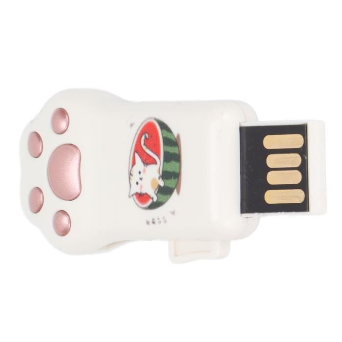 QID-disque Flash Clé USB 2.0 en forme de patte de chat, motif pastèque  informatique carte Griffe de chat pastèque or rose 32 Go