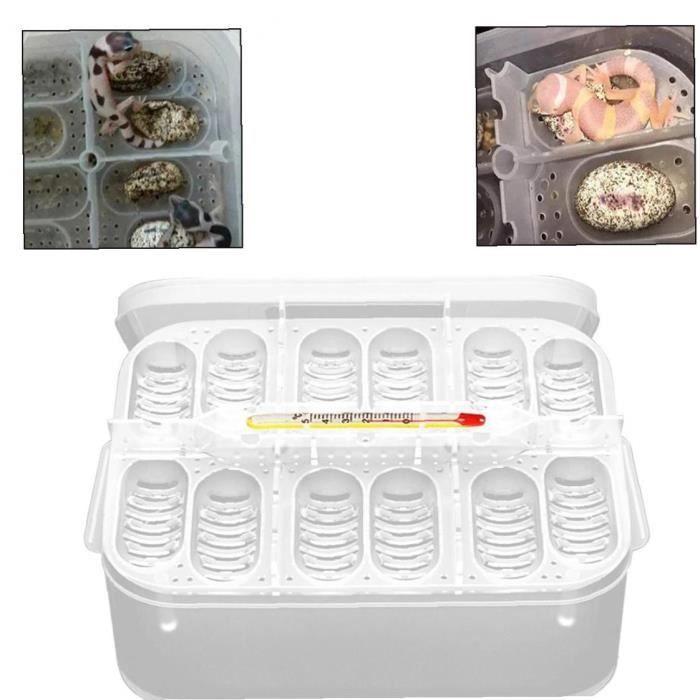Reptile Incubator Reptile Egg Tray boîte d'incubation Incubateur