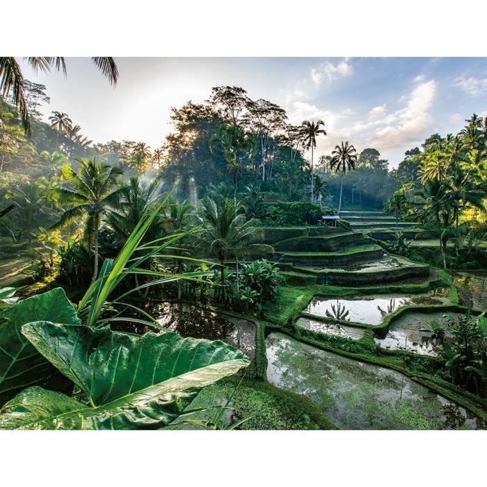 Puzzle 2000 pièces : Au coeur de Bali Ravensburger Nathan