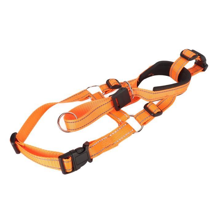 Harnais Licol Anti-traction Pour Chien - Taille L, Circonférence Museau 30-37 Cm, Cou 42-53 Cm, Avec Muselière Rembourrée