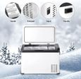 WOLTU Mini Frigo de Voiture, Petit Réfrigérateur Portable Chaud/Froid Glacière Électrique 30L 61 x 32 x 40 cm Blanc-2