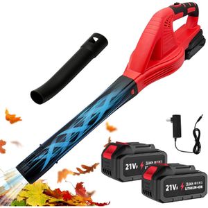 Souffleur De Feuilles Sans Fil 21V - 2 Batteries 3.0Ah - 800W, 210 Km/h - 2 Vitesses - Pour Jardin, Terrasse, Neige - 9