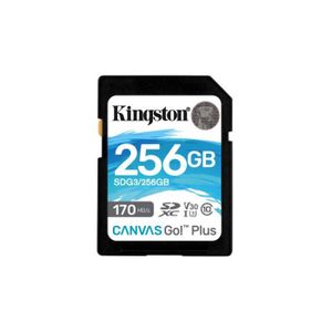 64 Go pour GoPro HERO 11 Mini noire - Carte micro SD Kingston U3 170 Mo/s