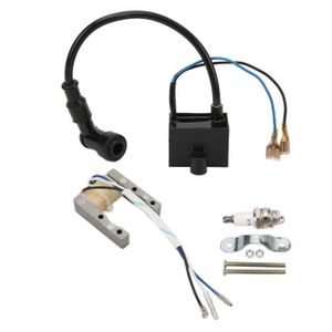 Bobine D'allumage CDI Pour Moteur De Vélo 49cc 66cc 80cc 2 Temps – Pièce Neuve