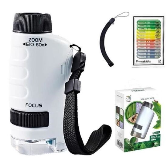 Microscope Numérique Portable Pour Enfants – Écran IPS 2 Pouces, Grossissement 500X-1000X, 8 LED – Photo/vidéo, USB, Exploration Scientifique