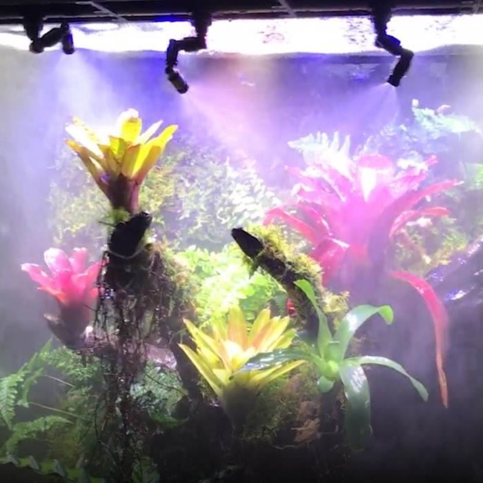 Reptiles Fogger Mist Sprinkler Reptiles Buse de terrarium Mini buse de pulvérisation réglable à 360 ° pour réservoir Rainforest