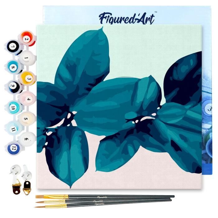Figured'Art Mini Peinture par Numéro Adulte 20x20cm avec cadre ...