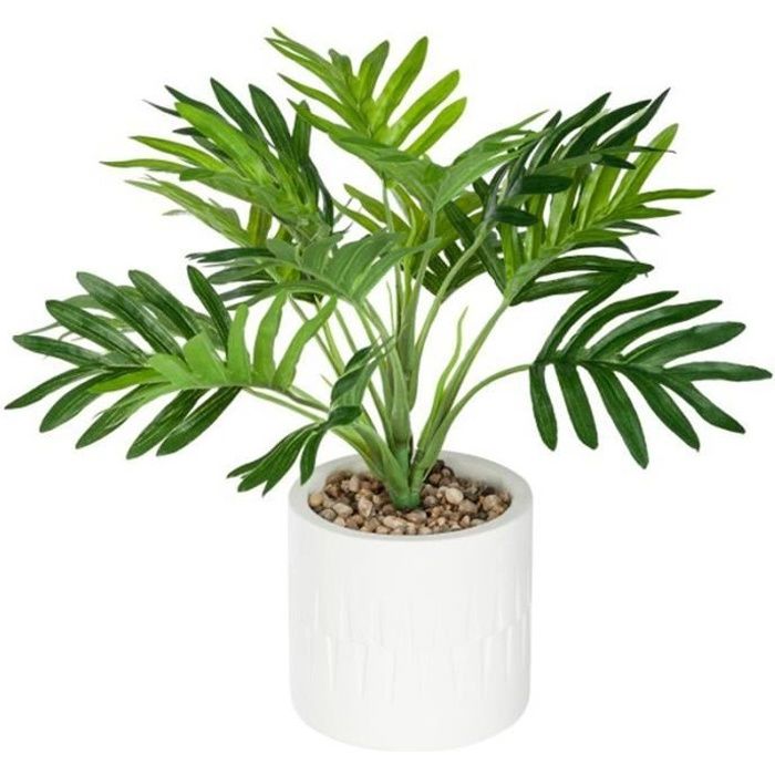 Neuhaus Decor Polyscia bonsaï Arbre Artificiel sans Pot 33 cm Neuhaus Decor Polyscia bonsaï Arbre Artificiel sans Pot 33 cm