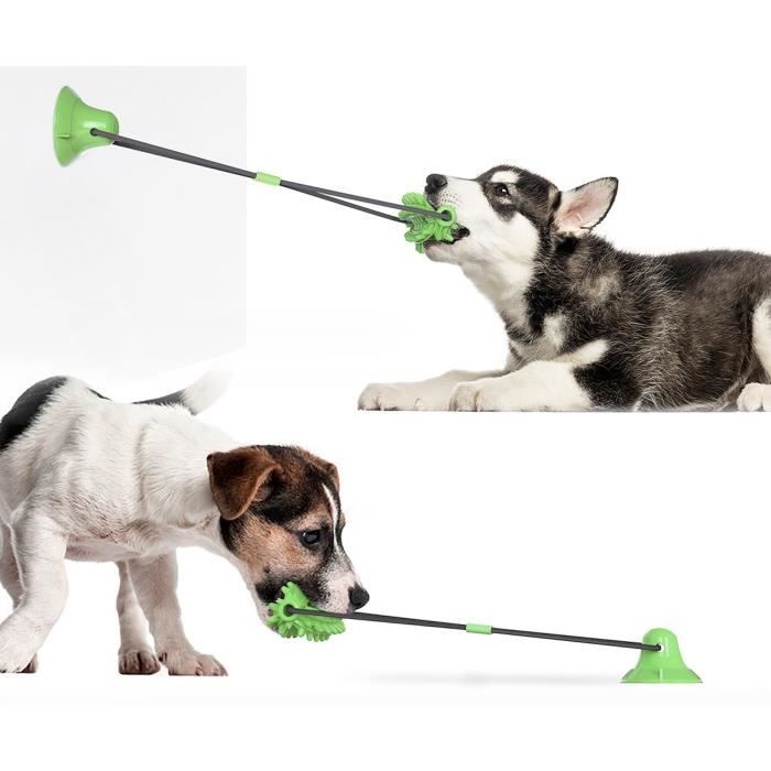Jouets - Jeux Pour Chien,Brosse à Dents En Maïs Sur Le Cob Pour Chien