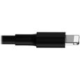 Tripplite Câble USB pour Iphone 6 - 30 cm - Noir-5