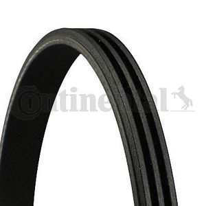 Contitech 4PK855 COURROIE STRIEE