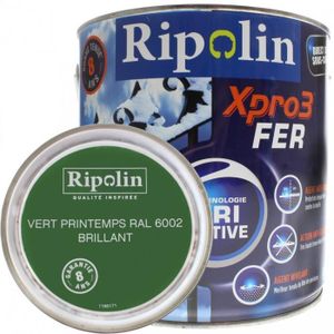 PEINTURE - VERNIS Peinture Fer Vert Printemps Brillant Xpro3 Ripolin  Vert 2L     0,000000