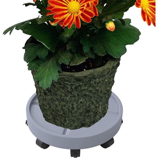 Caddy de Palette de Plantes avec Roues Pot de Fleur Mover Jardinière à
