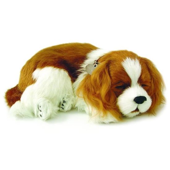 peluche cavalier king charles