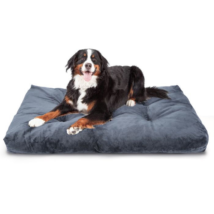 Nobleza - Coussin Chien Grande Taille, Panier Chien Lavable, Coussin pour Chien Anti Stress,  Gris Foncé, 122x74cm