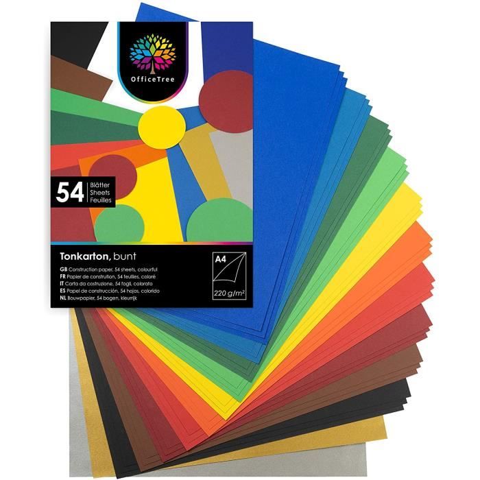 Lot De 50 Feuilles De Papier Cartonné Blanc Pour Imprimante A4 250g M E 1107468