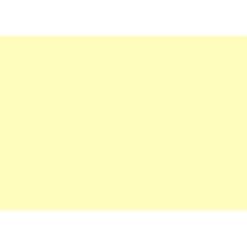 Jaune Guide File Brunnen - Lot de 100 fiches lignées A5 paysage 180 g/m² jaune ...