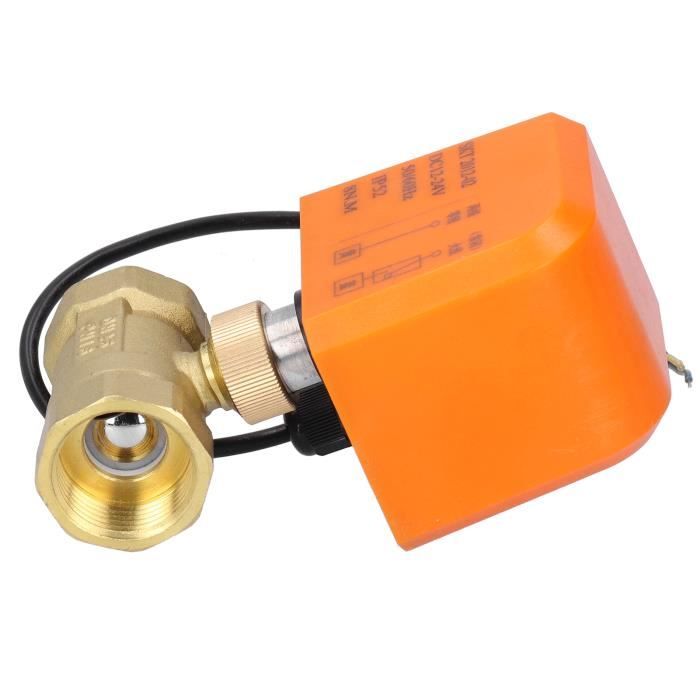 Vanne à Bille 2 Pouces Pour Cuve Schutz - Écrou Flottant 70mm, S60x6