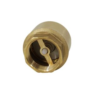 Clapet Anti-Retour Unidirectionnel Akozon DN50 Laiton Filetage Femelle 232PSI