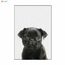 Version 40x60cm No Frame D78 1 Bebe Animal Imprimer Chiot Chien Affiche Toile Peinture Mur Art Enfants Chambre Decoration Photo Cdiscount Maison