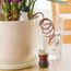 Arrosage Goutte à Goutte Pots De Fleurs Version Chine Plantes D Interieur Automatique Irrigation Goutte A Systeme D Arrosage Pot De Fleur Abreuvoir Outil Micro Jardin Achat Vente Pulverisateur Jardin Version Chine Plantes Cdiscount