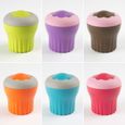 JEAN DUBOST - MICRO CAKES MICRO ONDES COULEURS ...-0