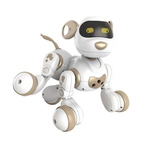 Dollox Robot Chien Teckel Télécommande Chiot RC Interactif Intelligent  Marche Danse Chien Jouet Électronique Programmable avec Musique pour les  enfants âgés de 6, 7, 8, 9, 10 ans : : Jeux et Jouets