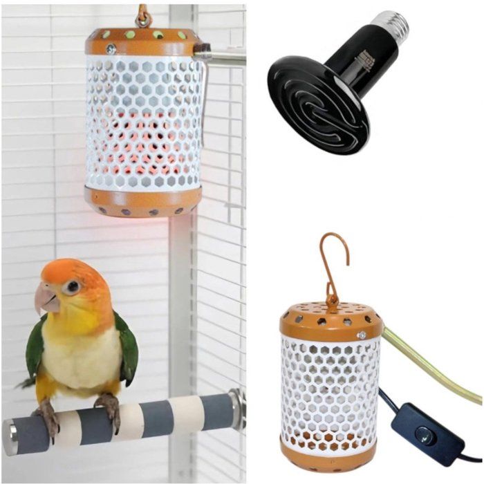 Chauffage pour cage à oiseaux - Chauffage pour perroquet - Orange - Bouton-poussoir - Ampoule 50 W incluse - Lampe chauffante en