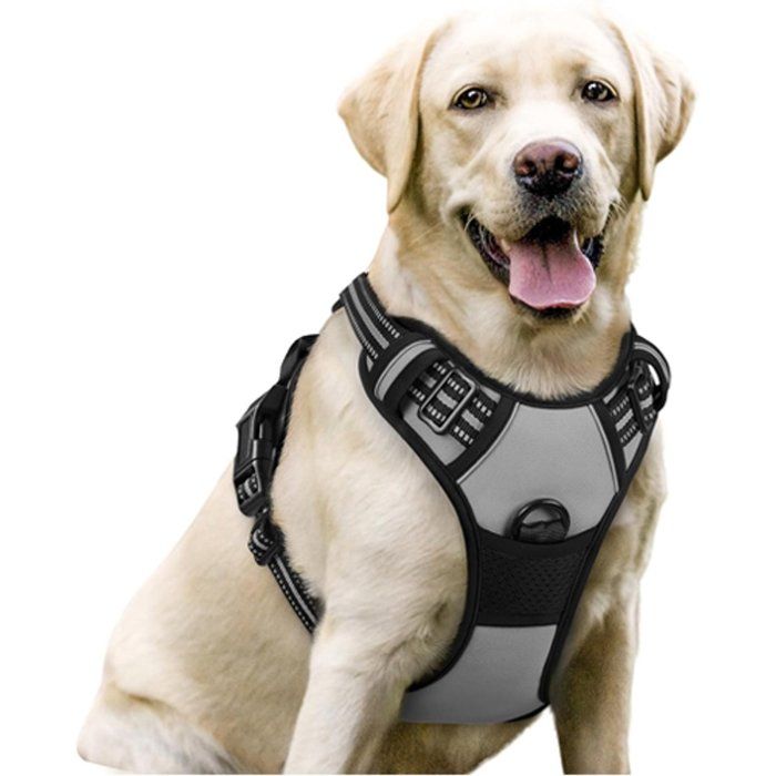 Harnais pour chien - Harnais anti-traction - Harnais + laisse - Taille L - Convient à toutes les races de chiens - Gris