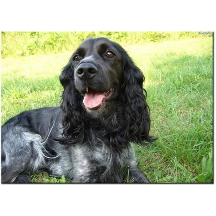 Cute Mouse Peinture Diamant, 5D Diamond Painting Complet Dessin Animé