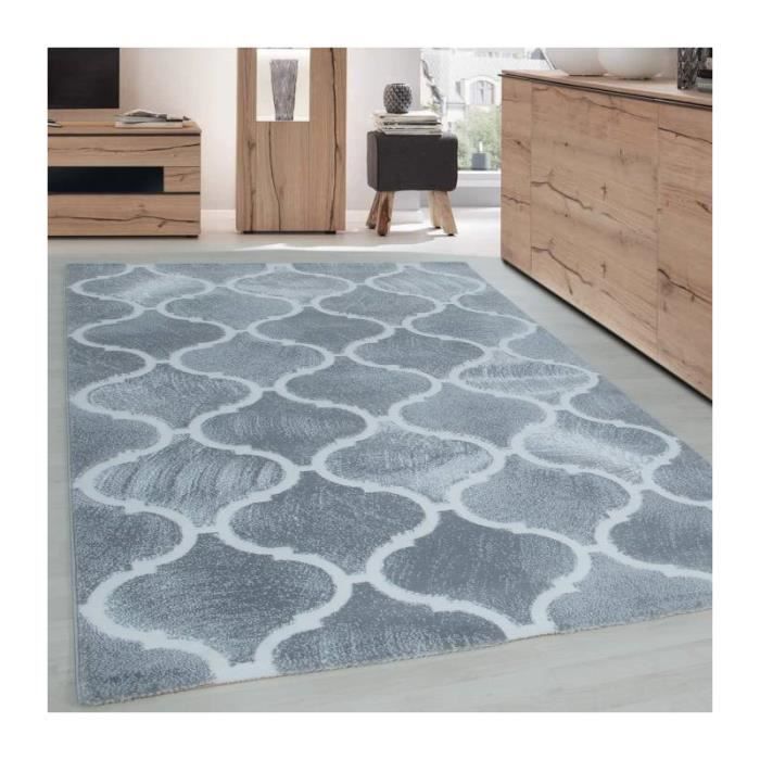 Tapis Gris Et Blanc