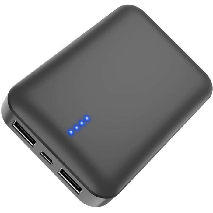 FLOUREON Batterie Externe 10000mah Power Bank Chargeur Portable avec 2 Ports US B & 2 Entrées Type C et Micro USB Compatible avec Iphone Android et Tablette 