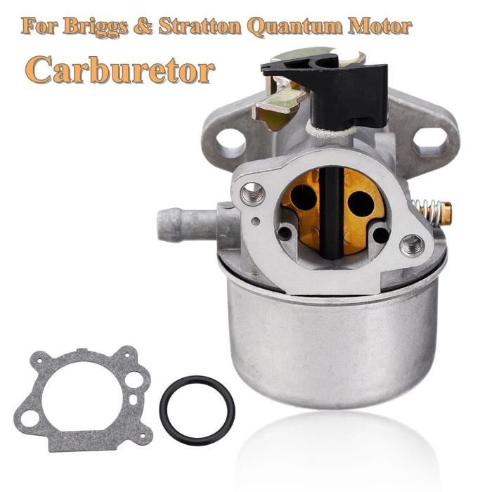 Carburateur briggs stratton quantum 50 Achat / Vente pas cher