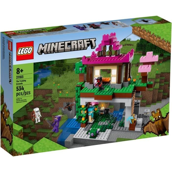 Lego Minecraft Kit Le terrain d'entrainement 21183 + Minecraft 30432 Plage  de tortue (Polybag) - Cdiscount Jeux - Jouets