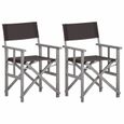 @BON3164Magnifique Lot de 2 Chaises de jardin Moderne Chaises de metteur en scène-Chaises de Camping Chaises d'extérieur Fauteuil de-0