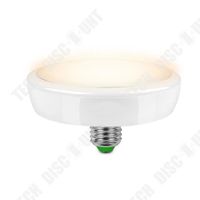 TD® Ampoule Lampe E27 12 W 24 LED- Détecteur de mouvement Escaliers Couloirs- Plafonnier à induction Corps humain blanc chaud