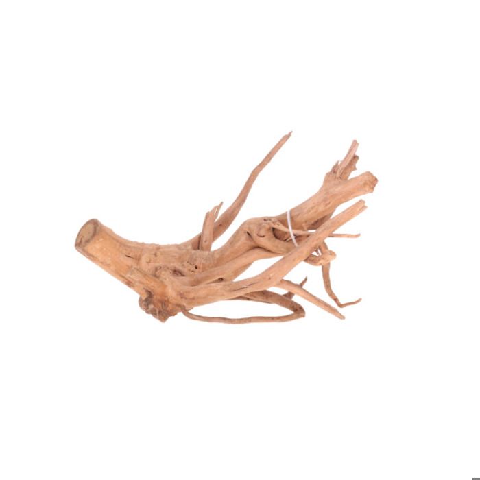 Meilleurs prix pour Vigne rare rouge M plus Aquavie