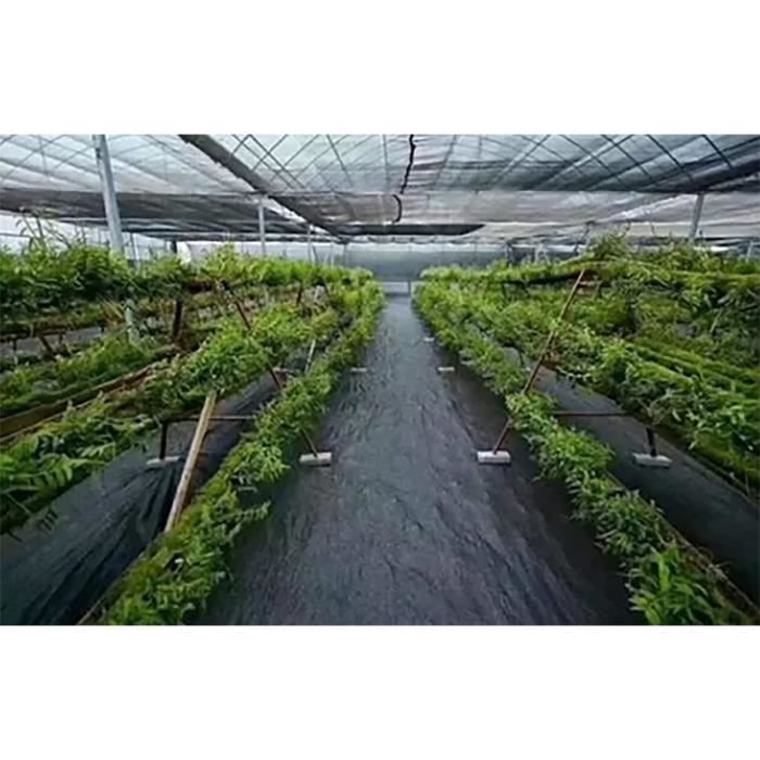 Toile De Paillage Contre Les Mauvais Herbes En Fibres De Polypropylène Toile De Paillage Contre Les Mauvais Herbes En Fibres De Polypropylène