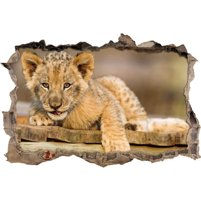 Mignon Lionceau Sur Percee Planches De Mur En 3d Look Mur Ou Format Vignette De La Porte 62x42cm Stickers Muraux Sticker Mura Cdiscount Maison