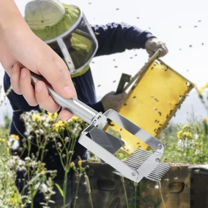 Grattoir D'apiculteur En Acier Inoxydable ZERODIS - Outil