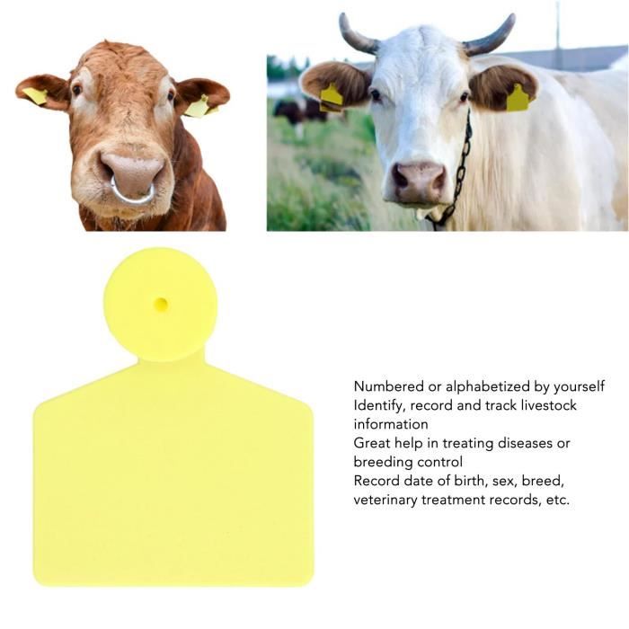 Étiquettes Oreille Bétail Numérotées 1-100 - Applicateur Inclus - Pour Vaches, Bovins - Gestion élevage