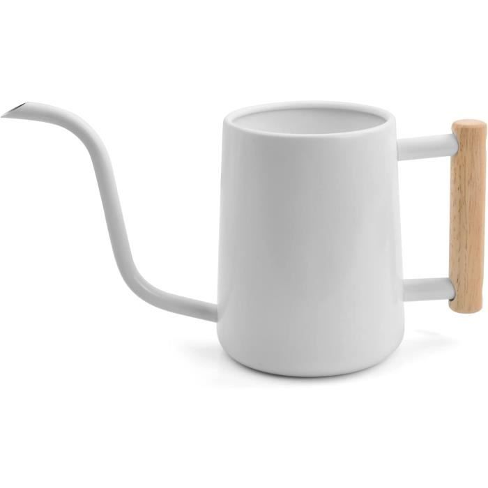 Arrosoir de Jardin en Acier Inoxydable - TRAHOO - Arroseur Léger et