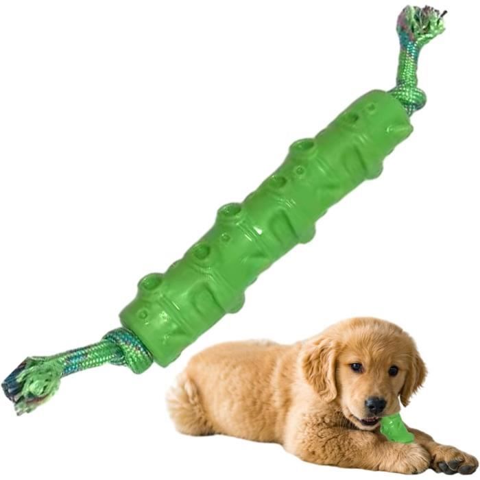 Jouet à Mâcher Pour Chien En Peluche Avec Couinement - Design PAW, 1 Ou 2 Pièces, Vert