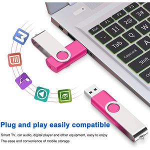 MECO Lot de 10pcs 2GB CLE USB 2.0 Flash Drive Mémoire Gel de silice violet  - Cdiscount Informatique