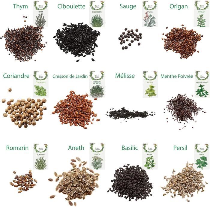 Graines - Aromates En Mélange (Ciboulette, Persil, Coriandre, Cerfeuil) Bio - Ruban Présemé - 150 Graines - Ferme De Sainte Marthe