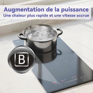 Plaque à Induction | Plaque Induction Professionnelle