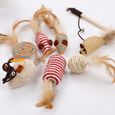 Jouets pour rongeur