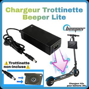 PIECES DETACHEES TROTTINETTE ELECTRIQUE Chargeur 42v Beeper Lite pour trottinette électriq