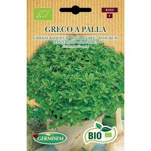 ÉPICES & HERBES Germisem Bio Graines Basilic Grec GRECO A PALLA.[D427]